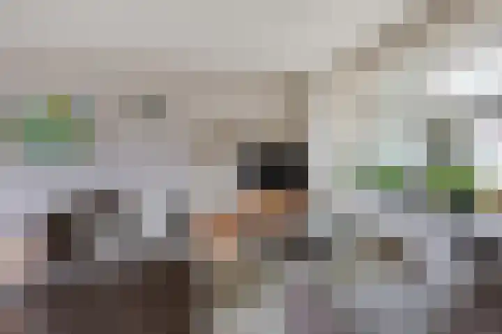 Antoniusstraat 13 Herwen thumbnail 20