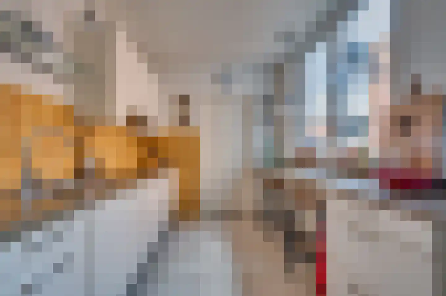 Antoniusstraat 139 Venlo thumbnail 9