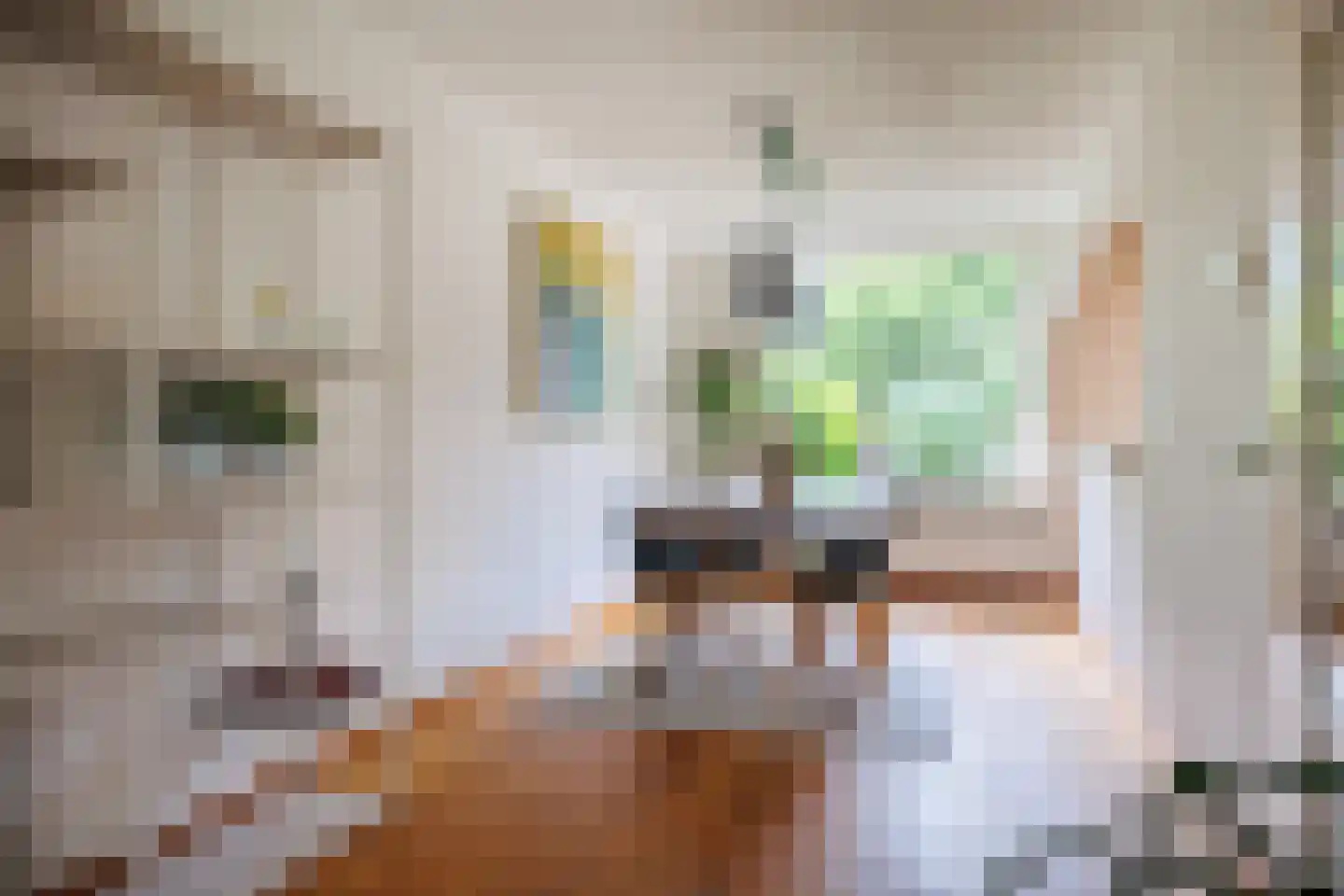 Antoniusstraat 23 Ven-Zelderheide thumbnail 11