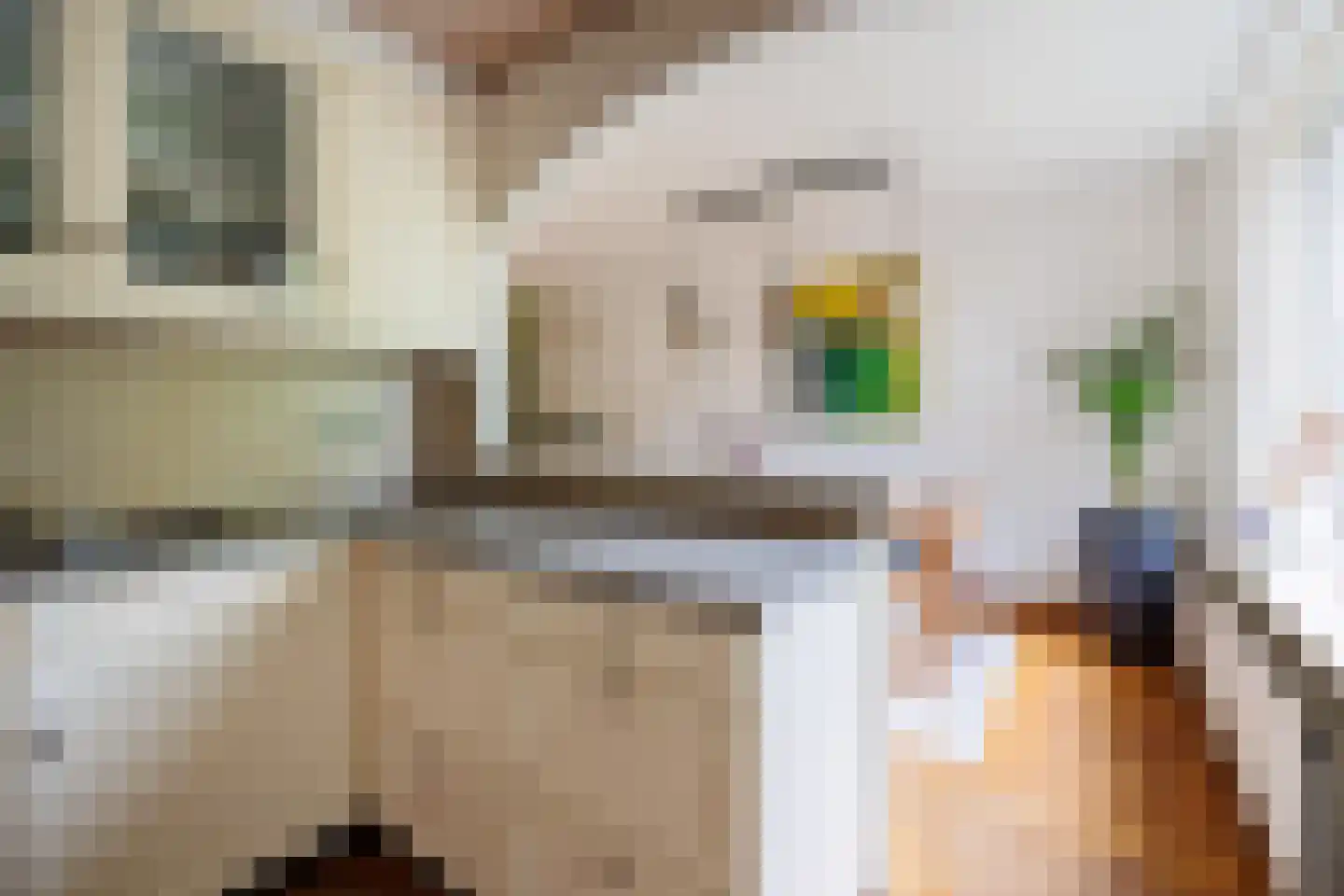 Antoniusstraat 23 Ven-Zelderheide thumbnail 15