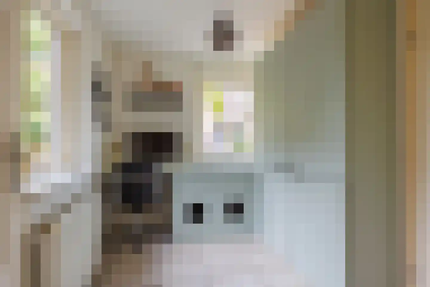 Antoniusstraat 23 Ven-Zelderheide thumbnail 16
