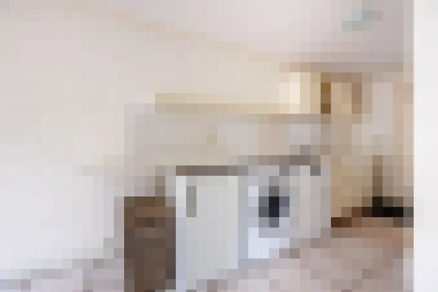 Antoniusstraat 23 Ven-Zelderheide thumbnail 17