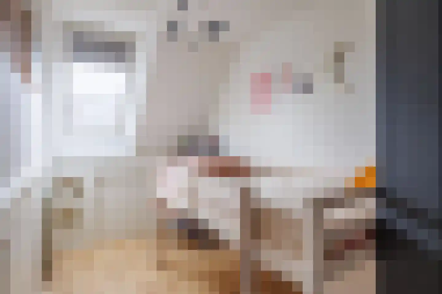 Antoniusstraat 23 Ven-Zelderheide thumbnail 27