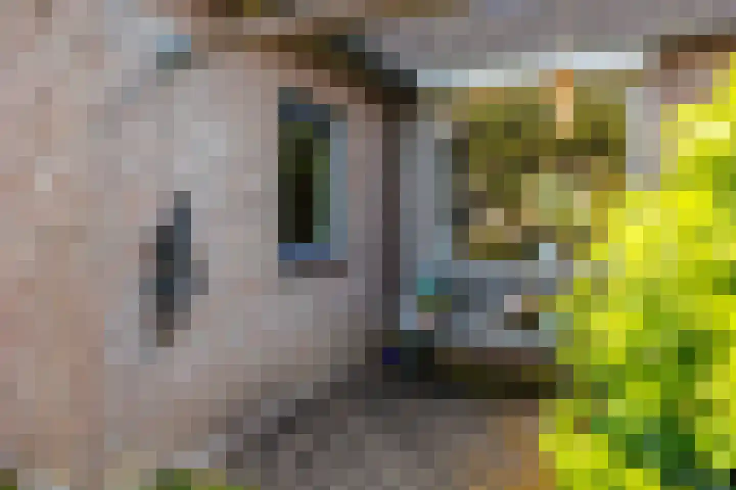 Antoniusstraat 23 Ven-Zelderheide thumbnail 36