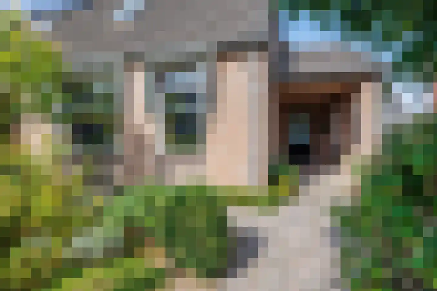 Antoniusstraat 23 Ven-Zelderheide thumbnail 38