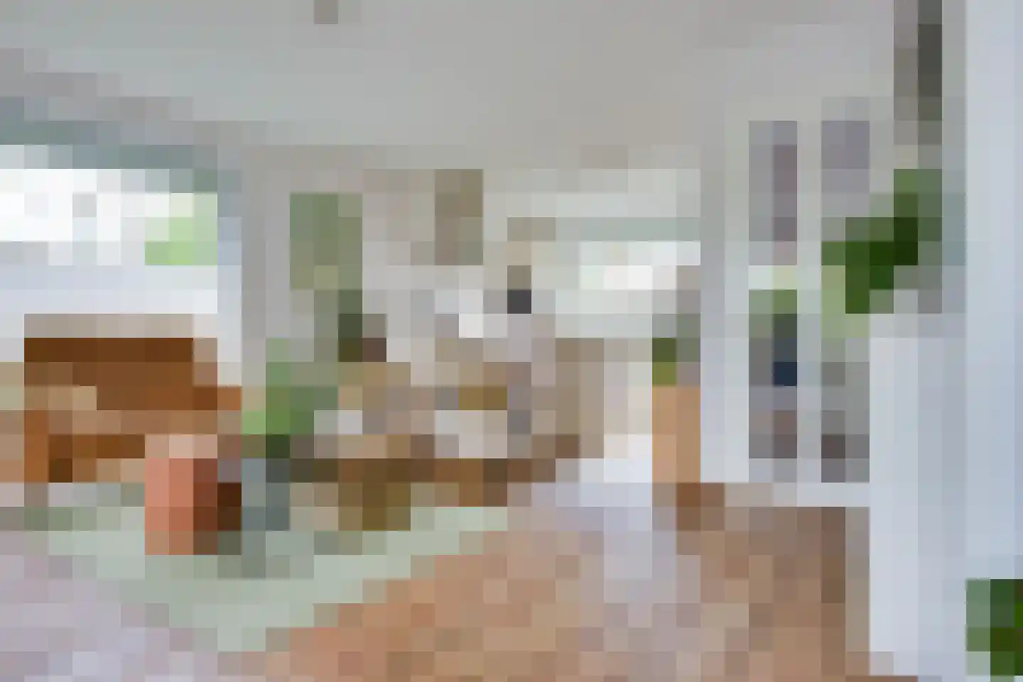 Antoniusstraat 24 Biest-Houtakker thumbnail 13