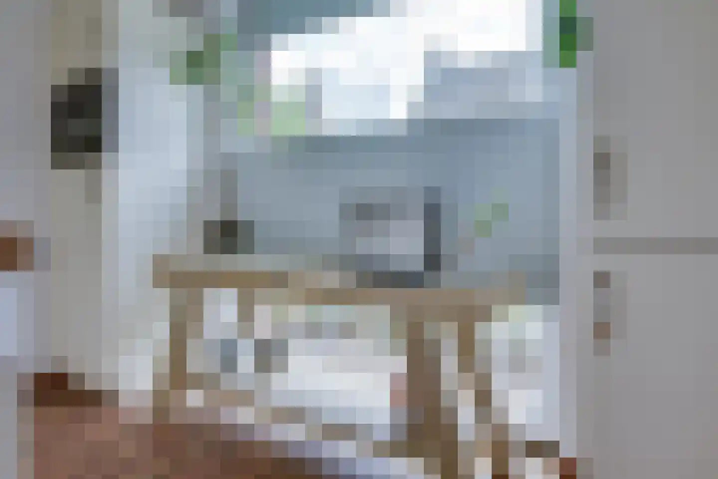 Antoniusstraat 24 Biest-Houtakker thumbnail 17