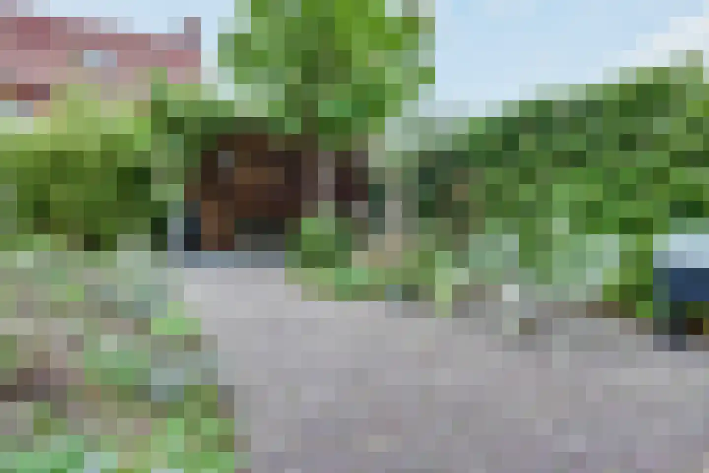 Antoniusstraat 24 Biest-Houtakker thumbnail 24