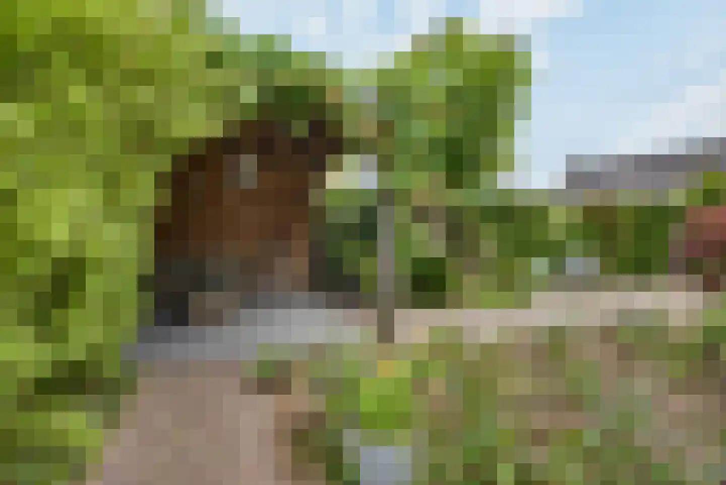 Antoniusstraat 24 Biest-Houtakker thumbnail 26