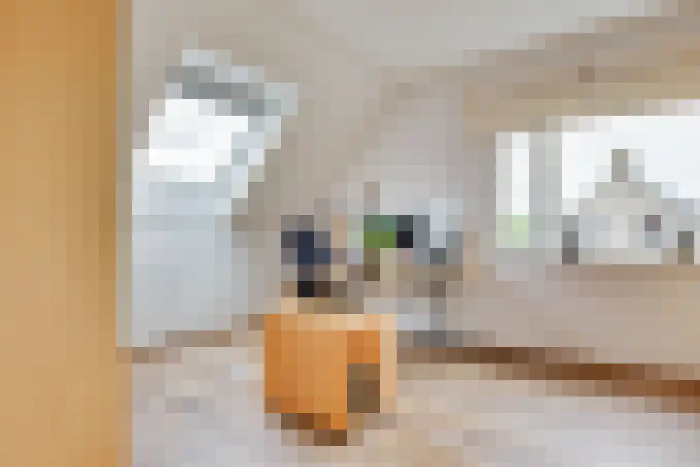 Antoniusstraat 24 Biest-Houtakker thumbnail 30