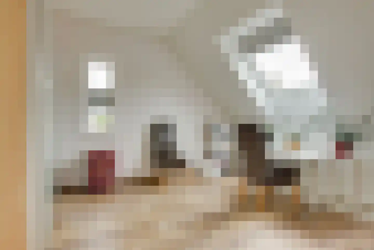 Antoniusstraat 24 Biest-Houtakker thumbnail 31