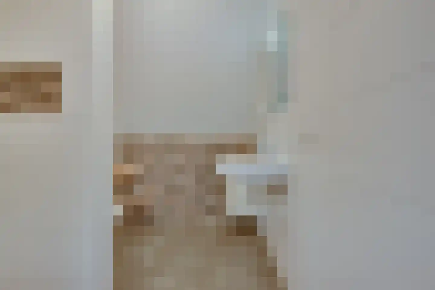 Antoniusstraat 24 Biest-Houtakker thumbnail 32