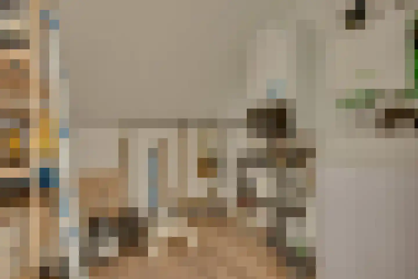 Antoniusstraat 24 Biest-Houtakker thumbnail 34