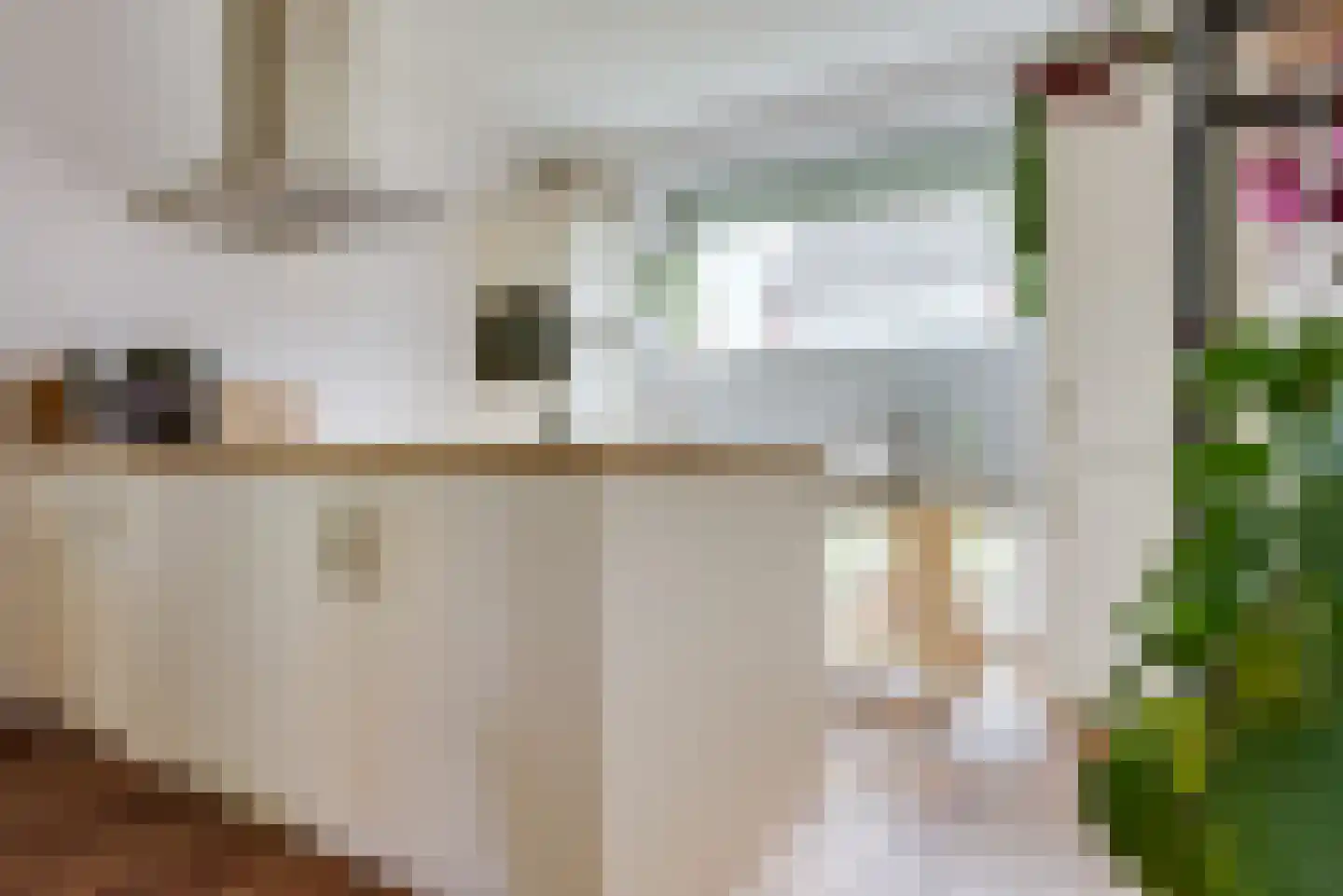 Antoniusstraat 24 Biest-Houtakker thumbnail 4