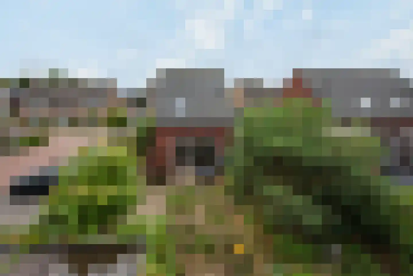 Antoniusstraat 24 Biest-Houtakker thumbnail 7