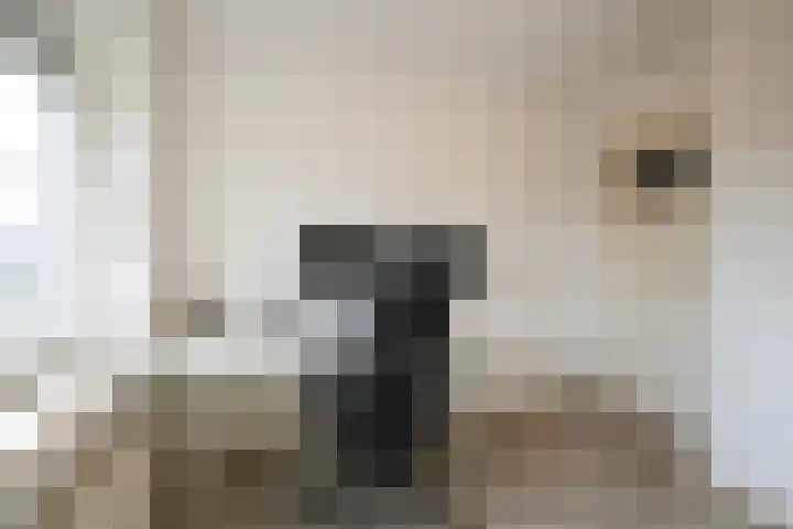 Antoniusstraat 28 Geleen thumbnail 20