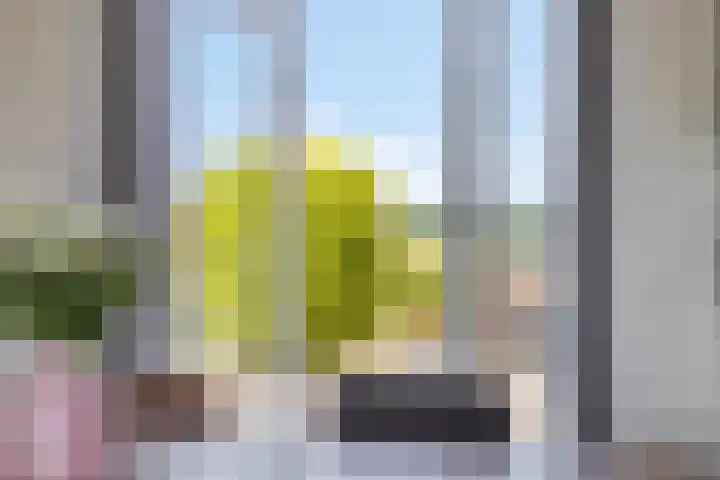 Antoniusstraat 29 Lengel thumbnail 10