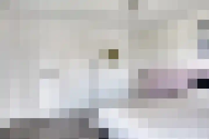 Antoniusstraat 29 Lengel thumbnail 14