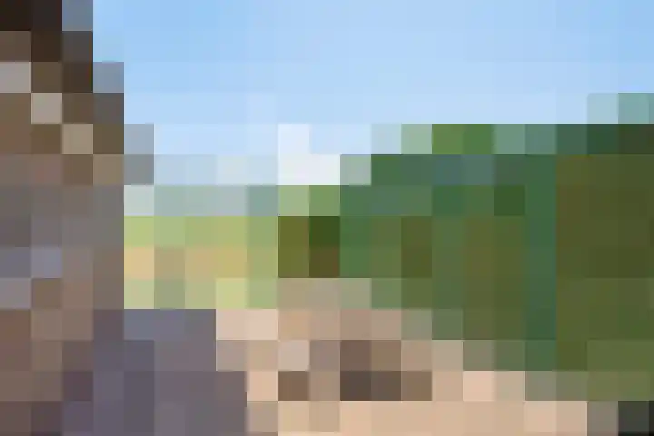 Antoniusstraat 29 Lengel thumbnail 21