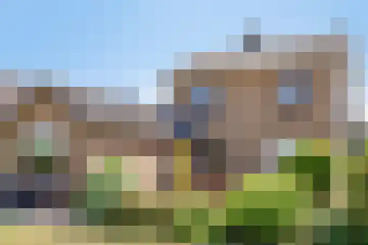 Antoniusstraat 29 Lengel thumbnail 22