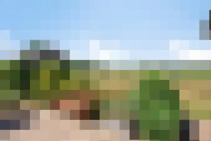 Antoniusstraat 29 Lengel thumbnail 25