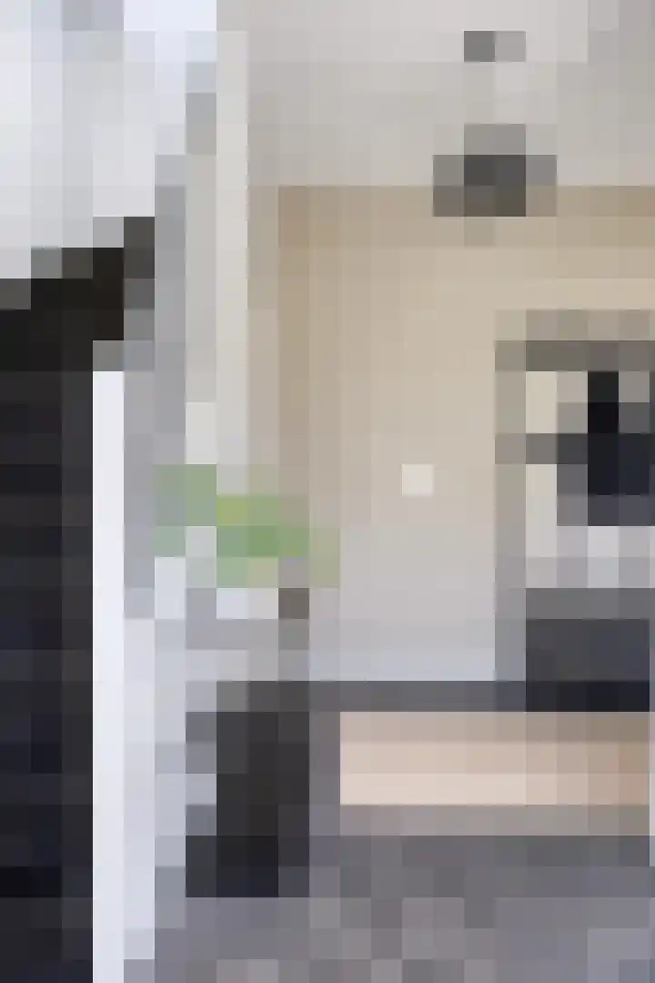 Antoniusstraat 29 Lengel thumbnail 7
