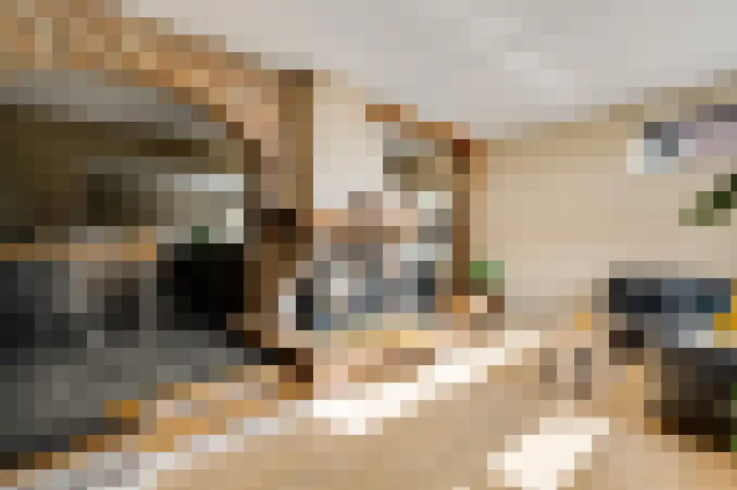 Antoniusstraat 30 Ell thumbnail 11
