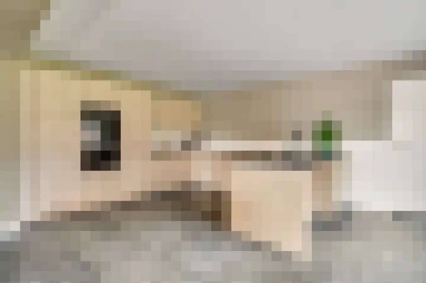 Antoniusstraat 30 Ell thumbnail 14