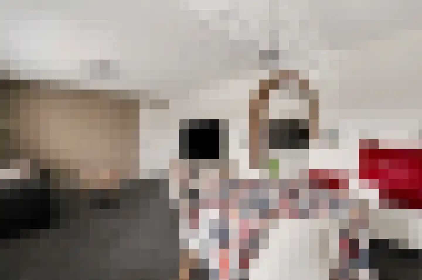 Antoniusstraat 30 Ell thumbnail 36