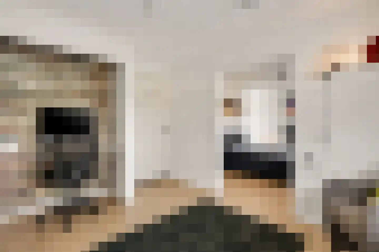 Antoniusstraat 30 Ell thumbnail 41