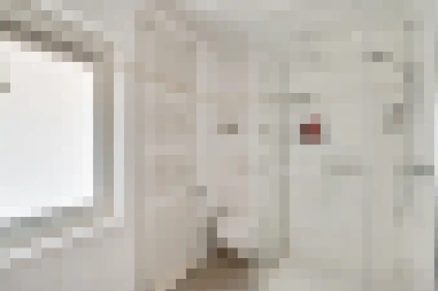 Antoniusstraat 30 Ell thumbnail 44