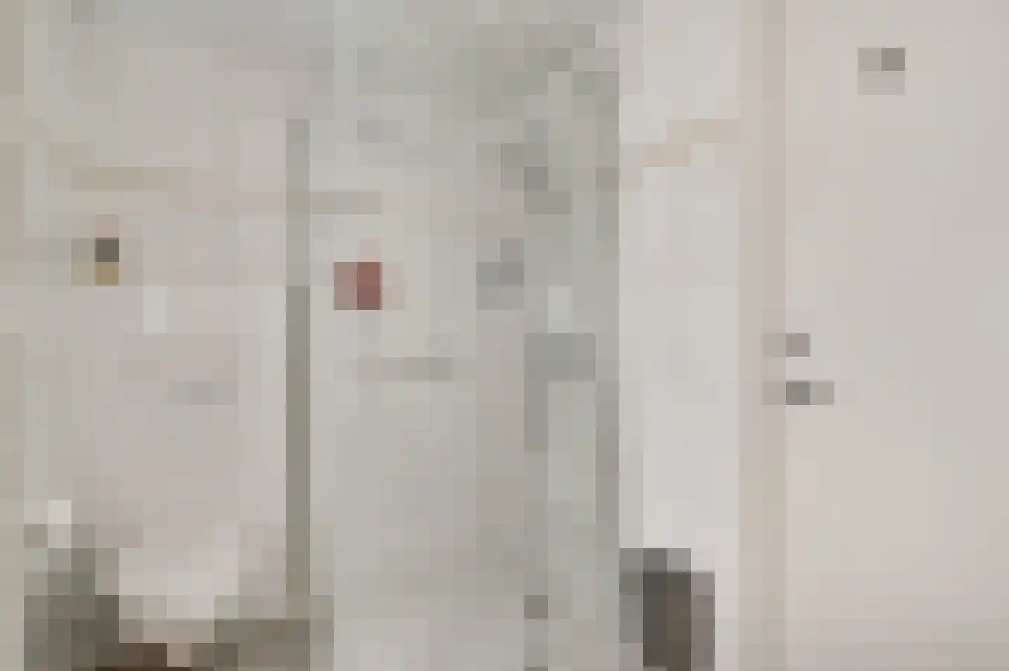 Antoniusstraat 30 Ell thumbnail 45