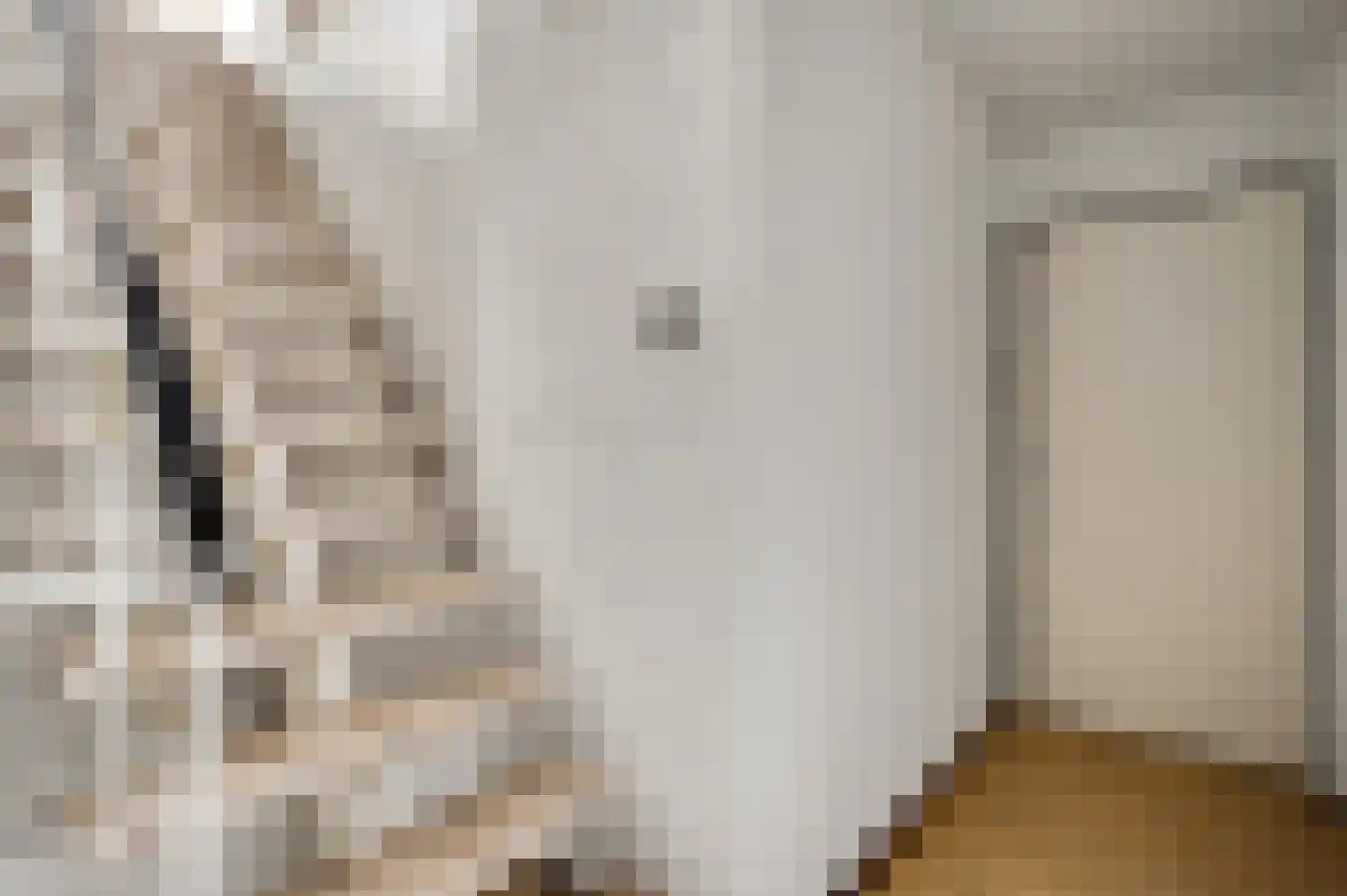 Antoniusstraat 30 Ell thumbnail 49
