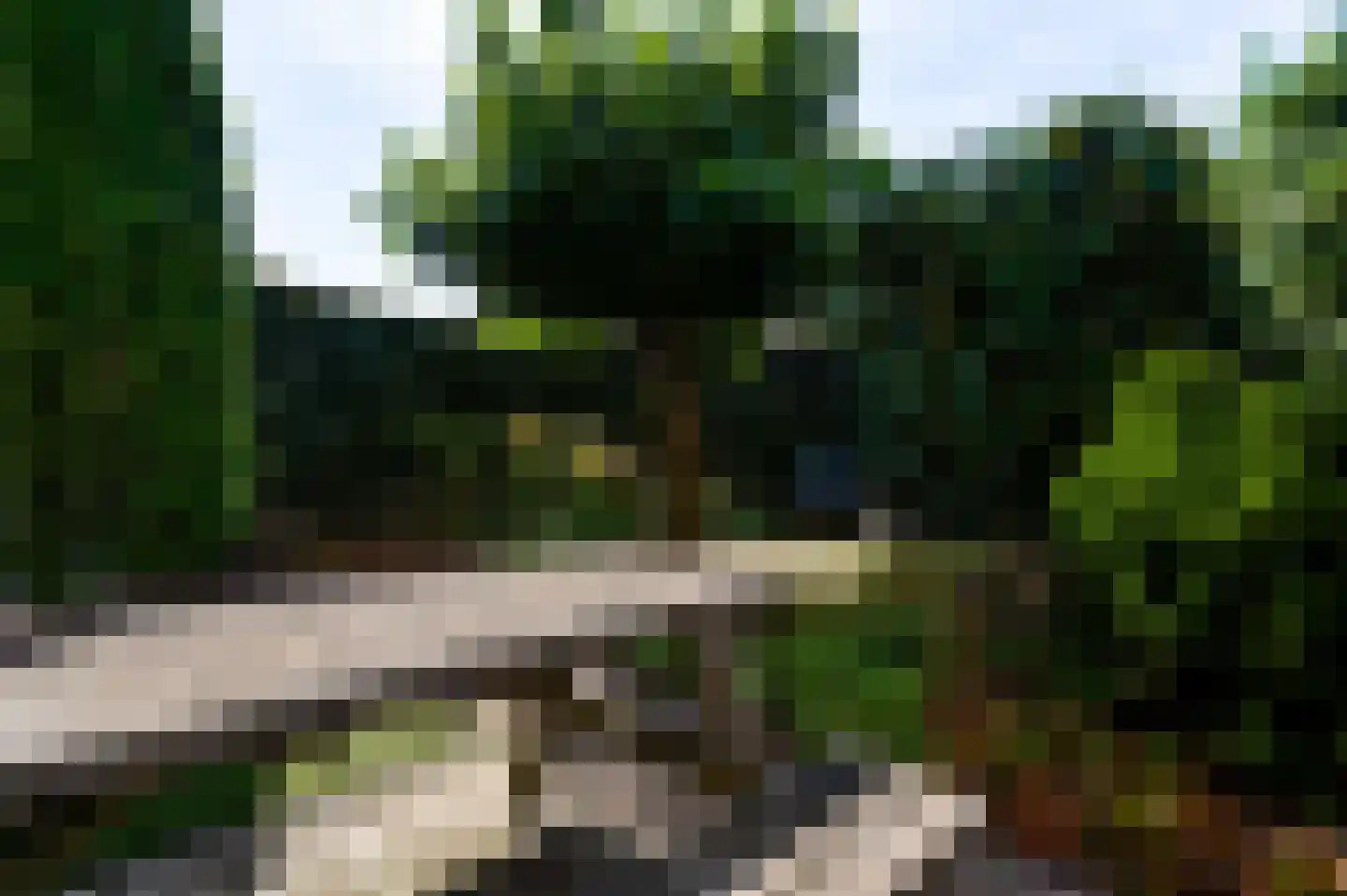 Antoniusstraat 30 Ell thumbnail 60