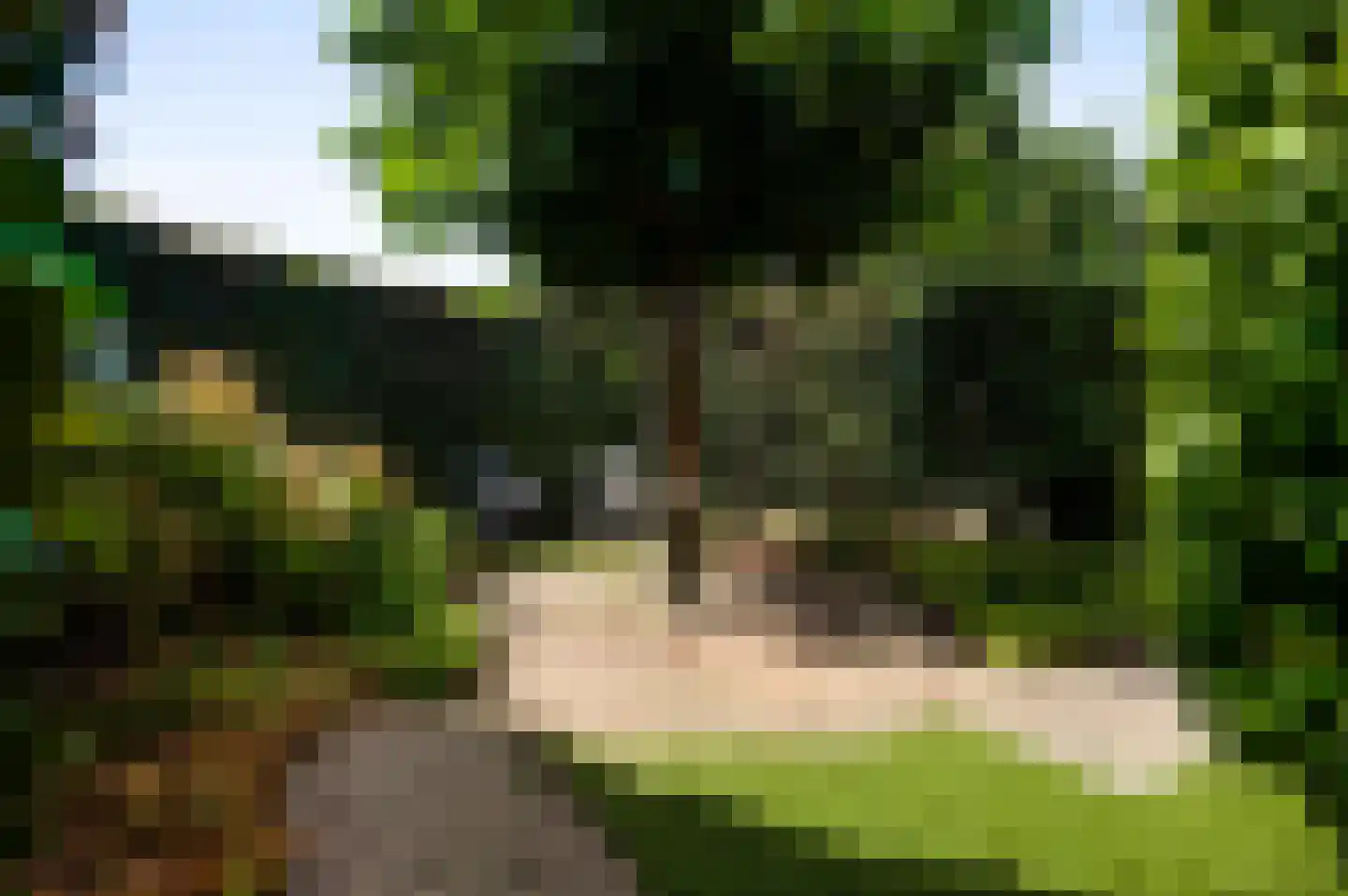 Antoniusstraat 30 Ell thumbnail 61