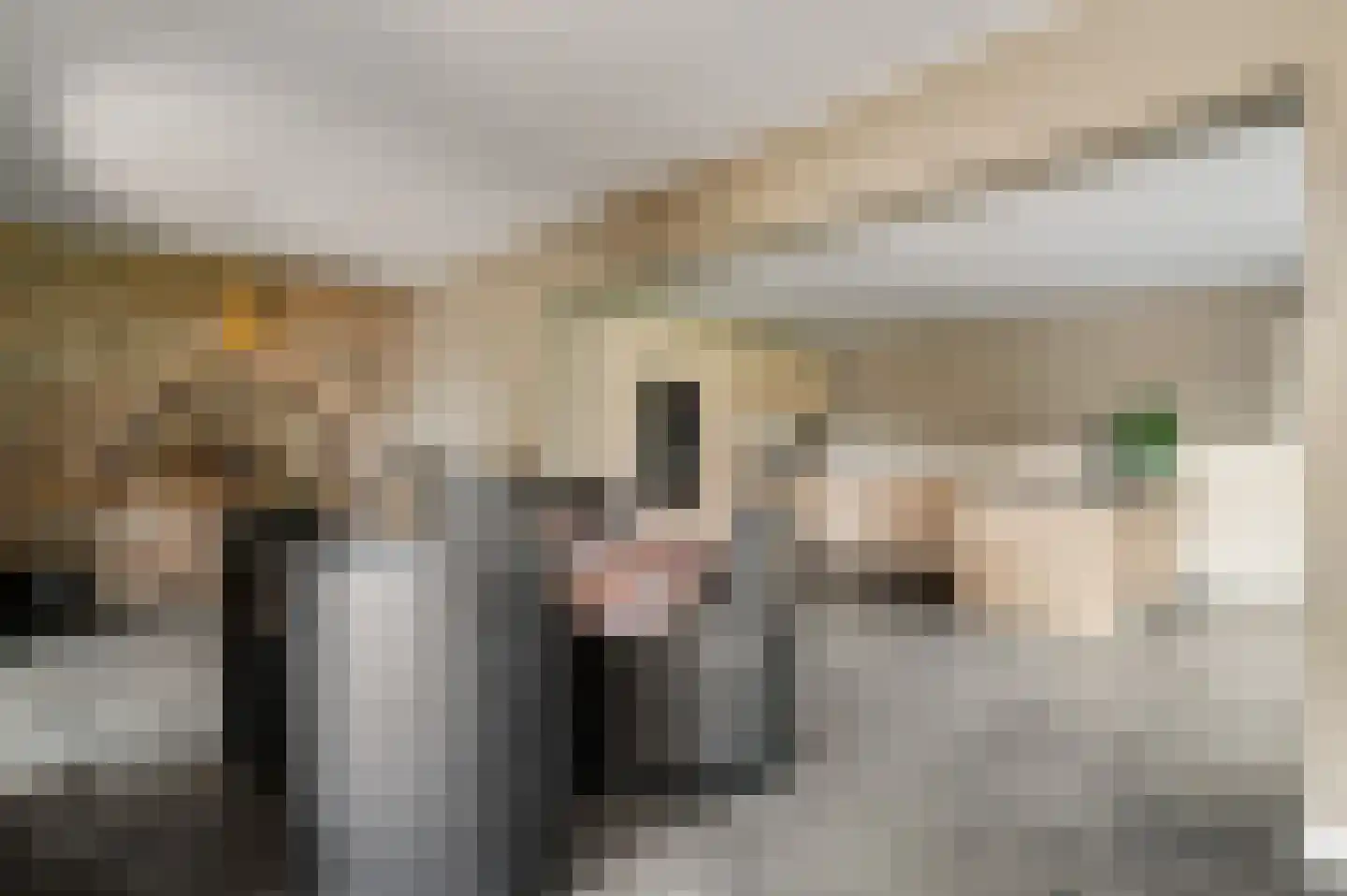 Antoniusstraat 30 Ell thumbnail 7