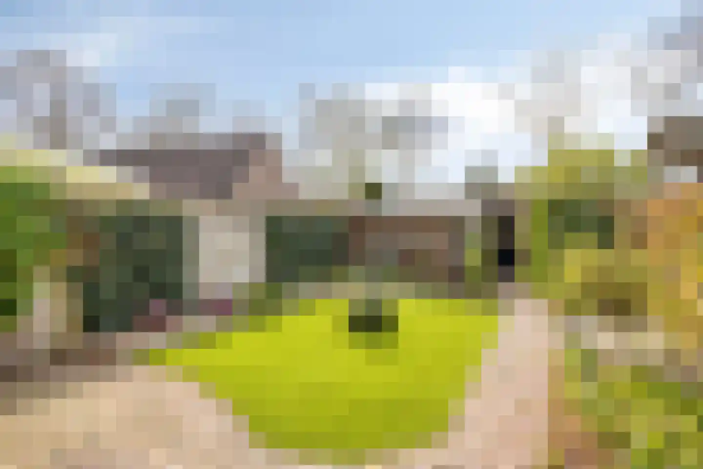 Antoniusstraat 30 Oost West en Middelbeers thumbnail 30