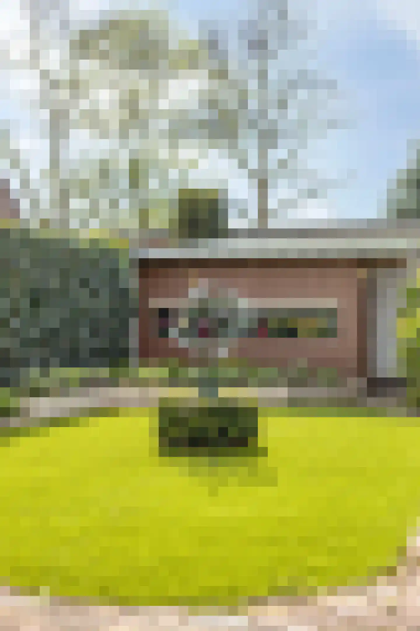 Antoniusstraat 30 Oost West en Middelbeers thumbnail 33