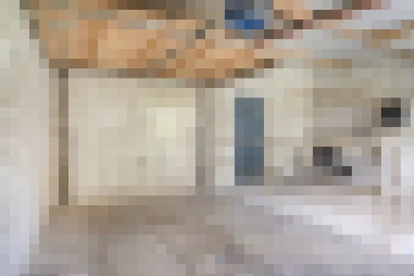 Antoniusstraat 30 Oost West en Middelbeers thumbnail 38