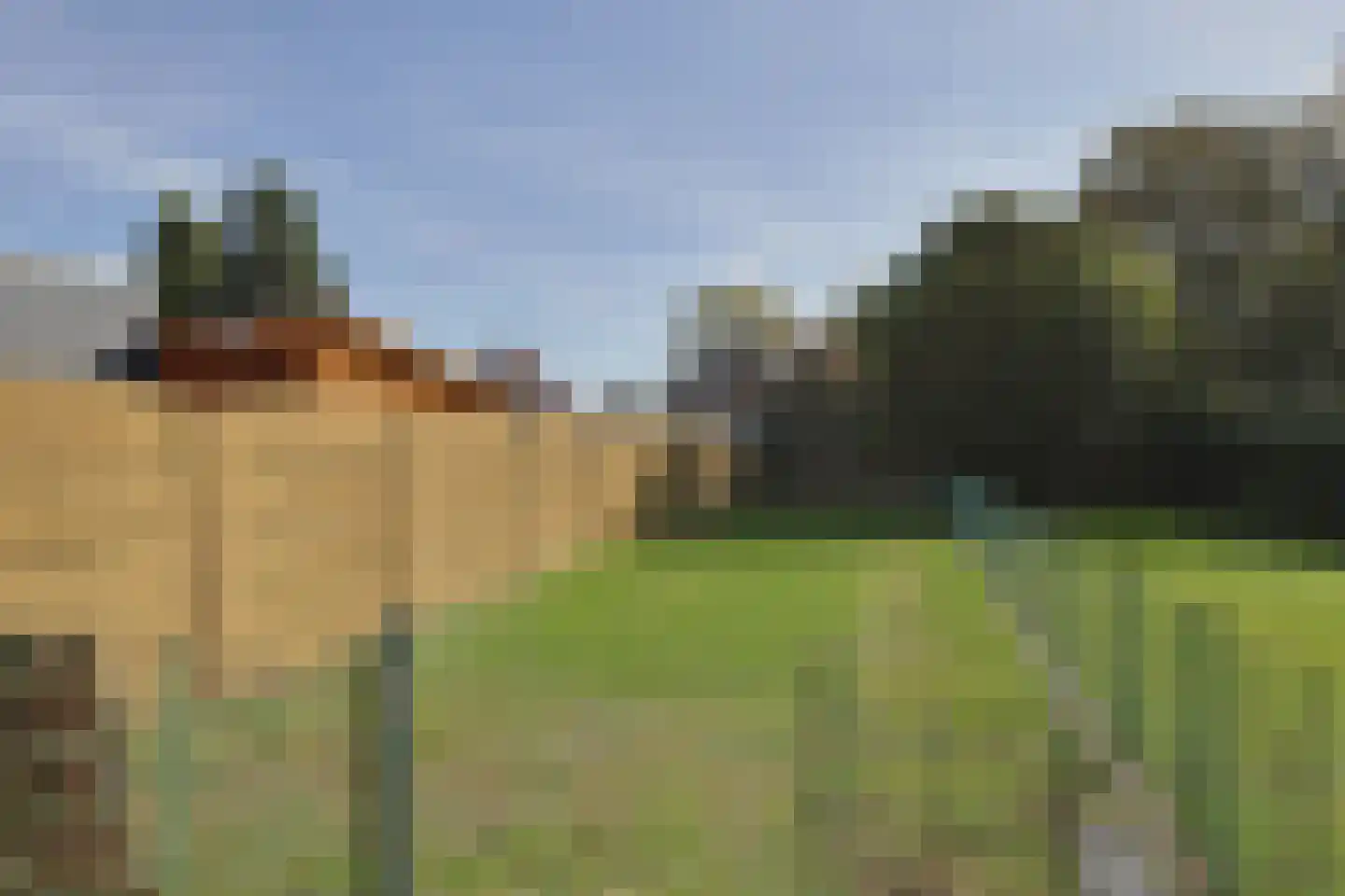 Antoniusstraat 36 Geleen thumbnail 24
