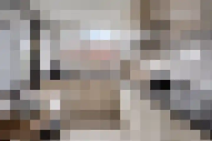 Antoniusstraat 37 Erp thumbnail 13