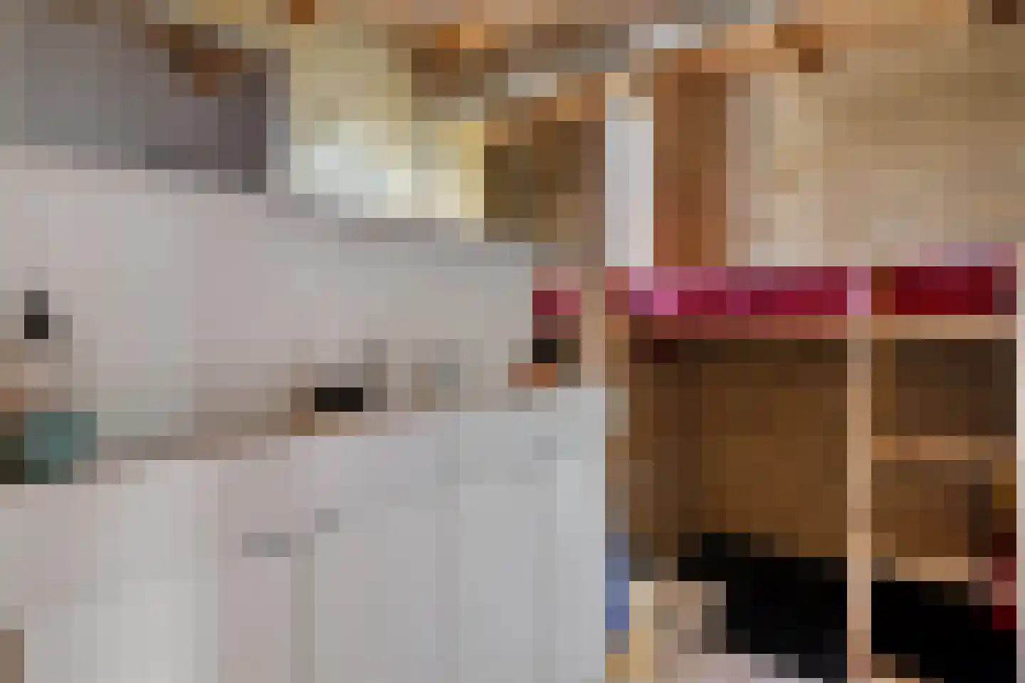 Antoniusstraat 37 Erp thumbnail 18