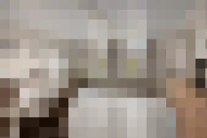 Antoniusstraat 37 Erp thumbnail 22