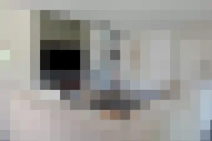 Antoniusstraat 37 Erp thumbnail 39