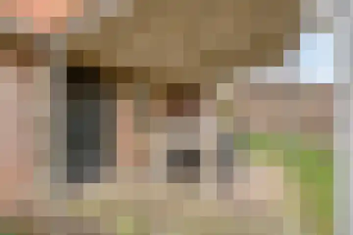 Antoniusstraat 37 Erp thumbnail 43
