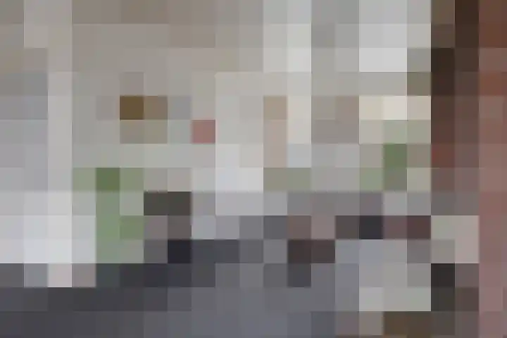 Antoniusstraat 37 Erp thumbnail 5