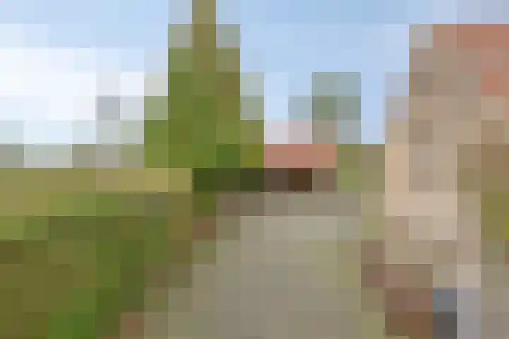 Antoniusstraat 37 Erp thumbnail 51