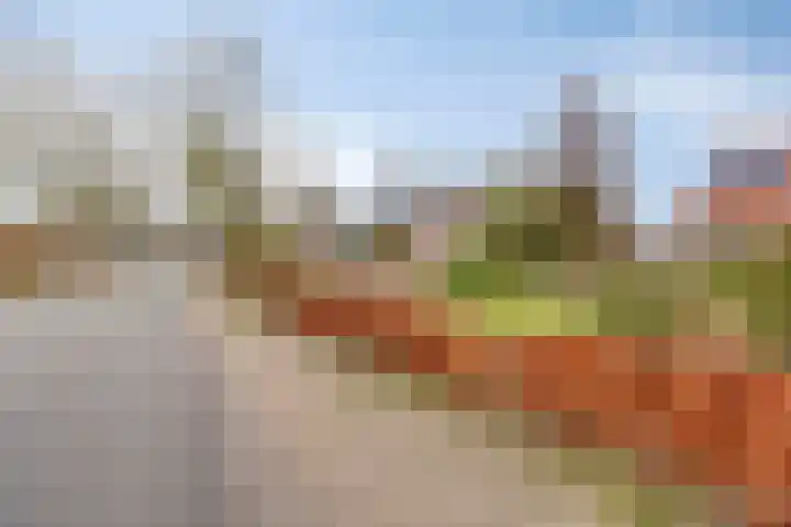 Antoniusstraat 37 Erp thumbnail 54