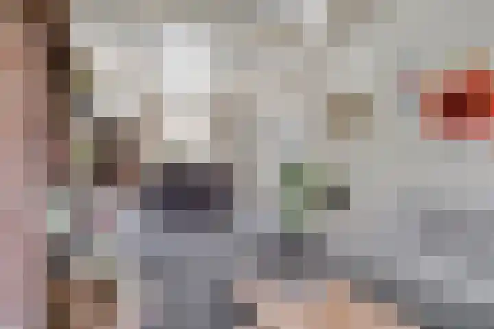 Antoniusstraat 37 Erp thumbnail 7