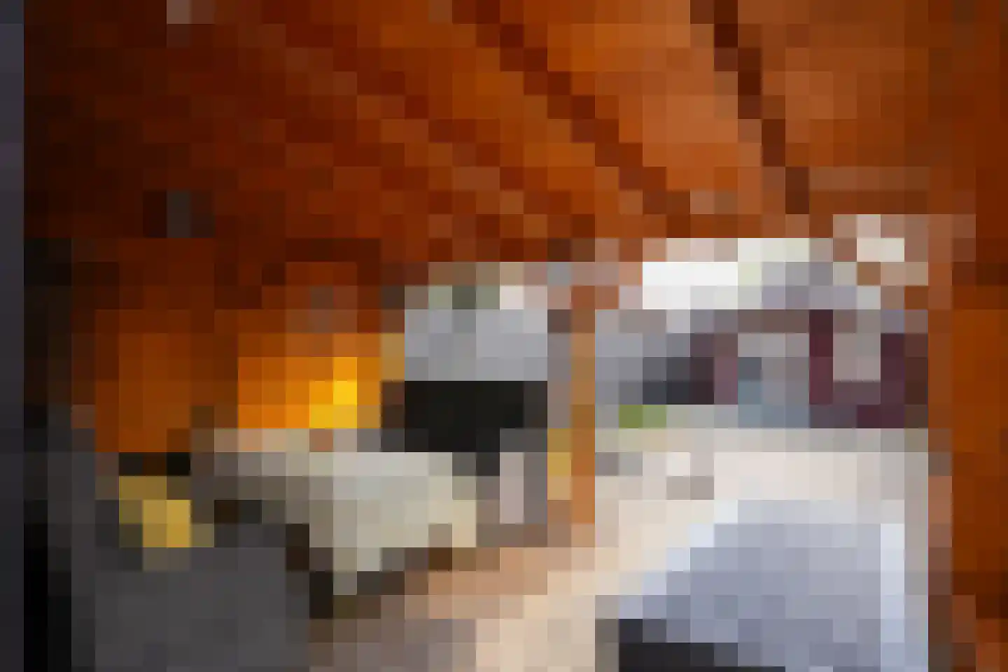 Antoniusstraat 38 Geleen thumbnail 26